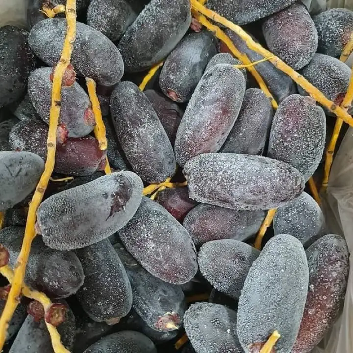 Memesan kurma dari Kurma Supplier Malaysia
