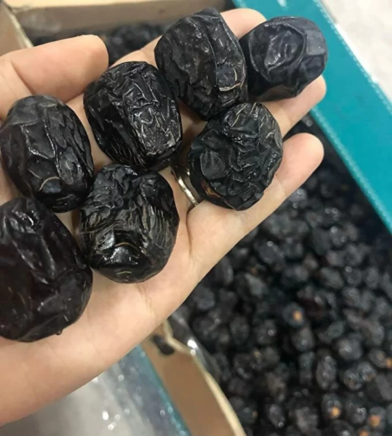Kurma Supplier