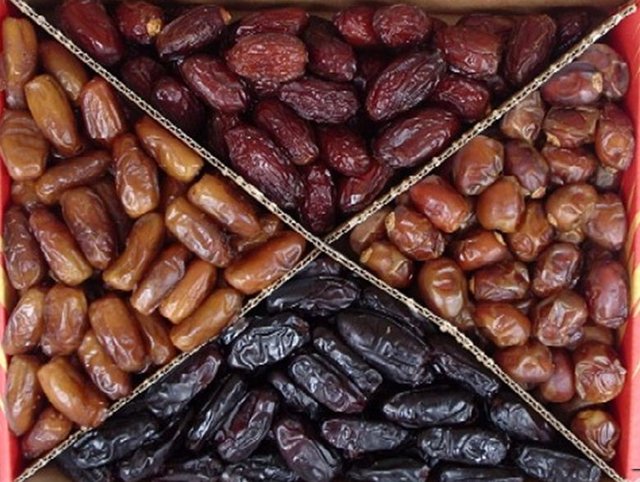 harga borong kurma